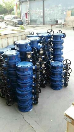 遠(yuǎn)大閥門集團(tuán)陜西銷售處 連接品質(zhì)與需求的專業(yè)紐帶